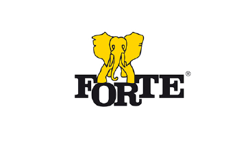 Logo: Forte - branża meblowa