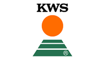 Logo: KWS - branża rolnicza