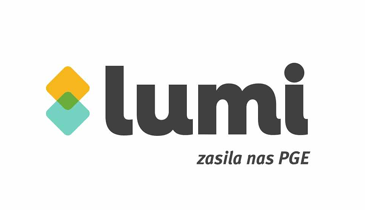 Logo: Lumi - branża przemysłowa